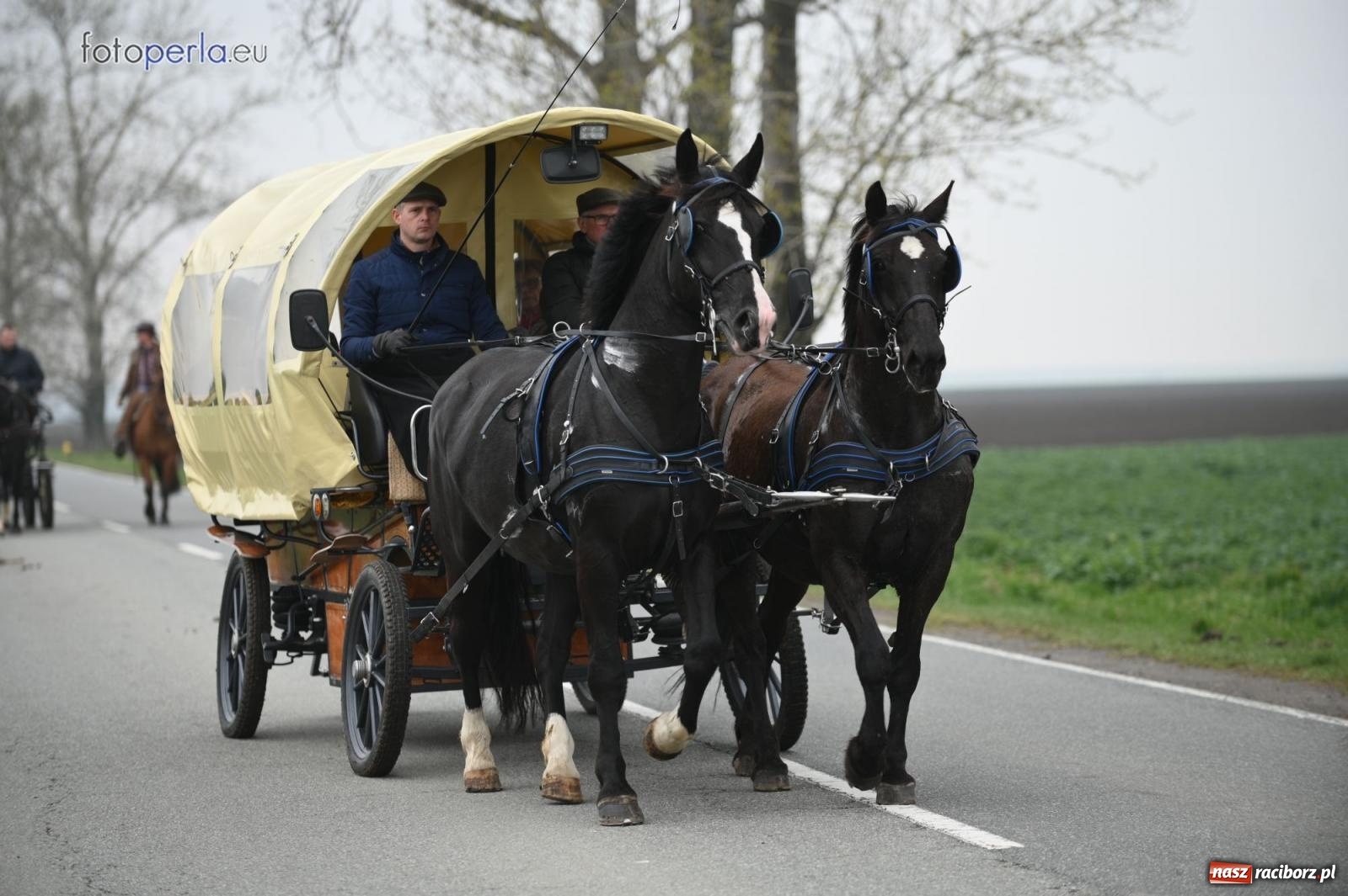 Zdjęcie w galerii na portalu naszraciborz.pl: Parada konna w Pietrowicach Wielkich [FOTO] wiadomości z regionu