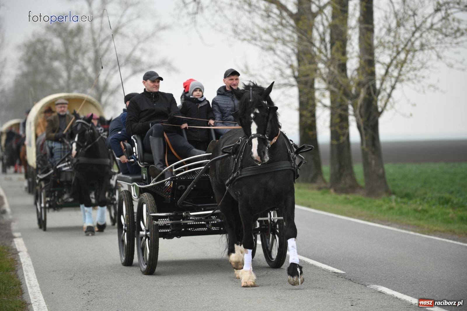 Zdjęcie w galerii na portalu naszraciborz.pl: Parada konna w Pietrowicach Wielkich [FOTO] wiadomości z regionu