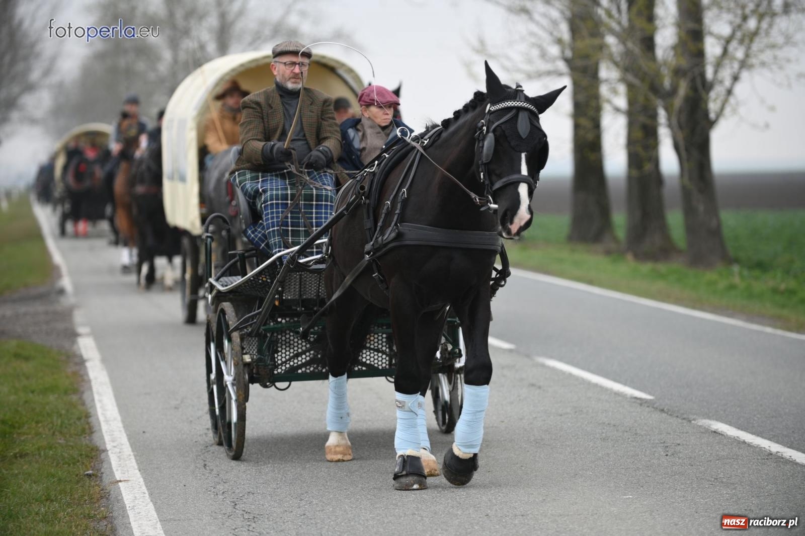 Zdjęcie w galerii na portalu naszraciborz.pl: Parada konna w Pietrowicach Wielkich [FOTO] wiadomości z regionu