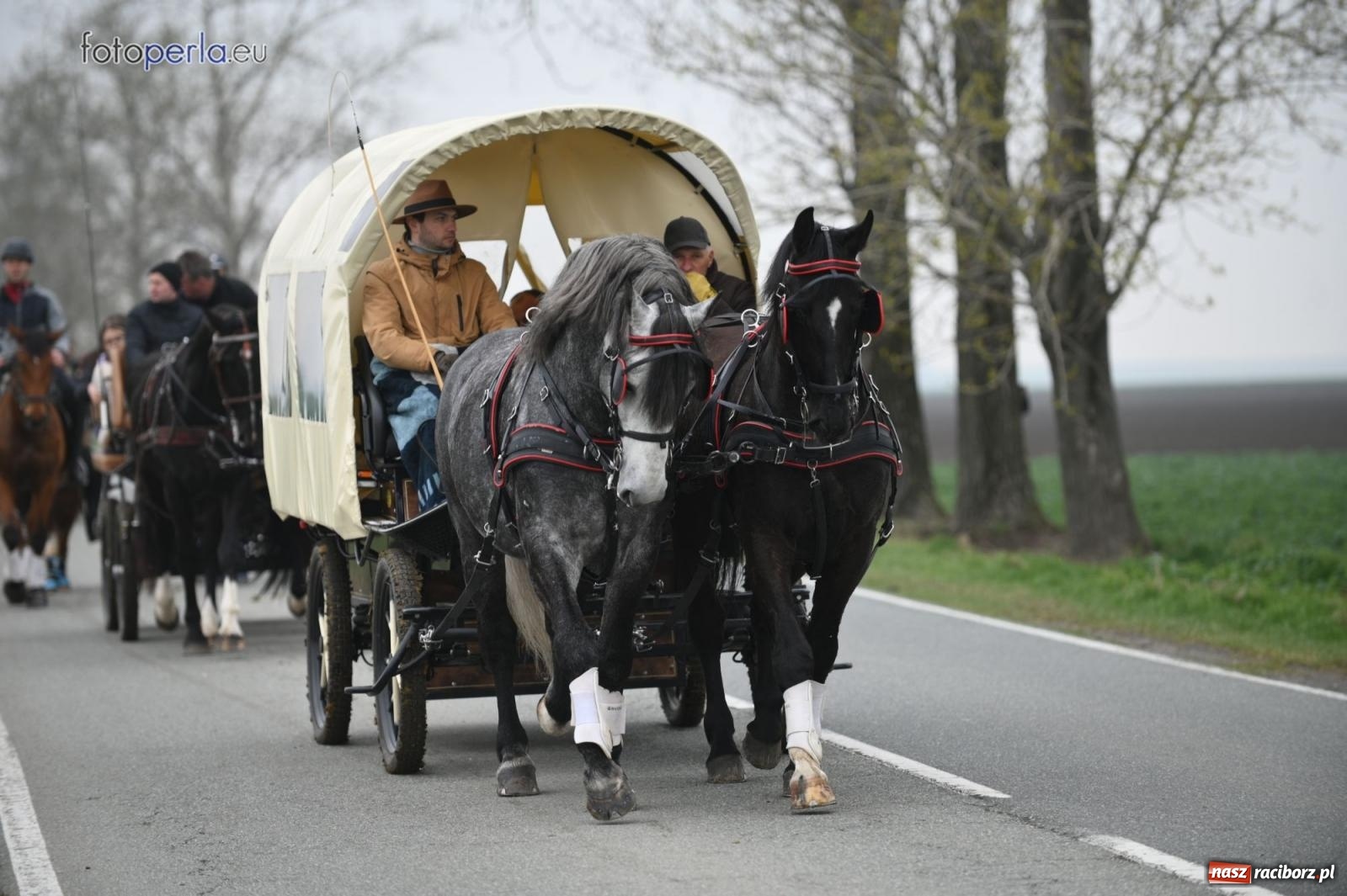 Zdjęcie w galerii na portalu naszraciborz.pl: Parada konna w Pietrowicach Wielkich [FOTO] wiadomości z regionu