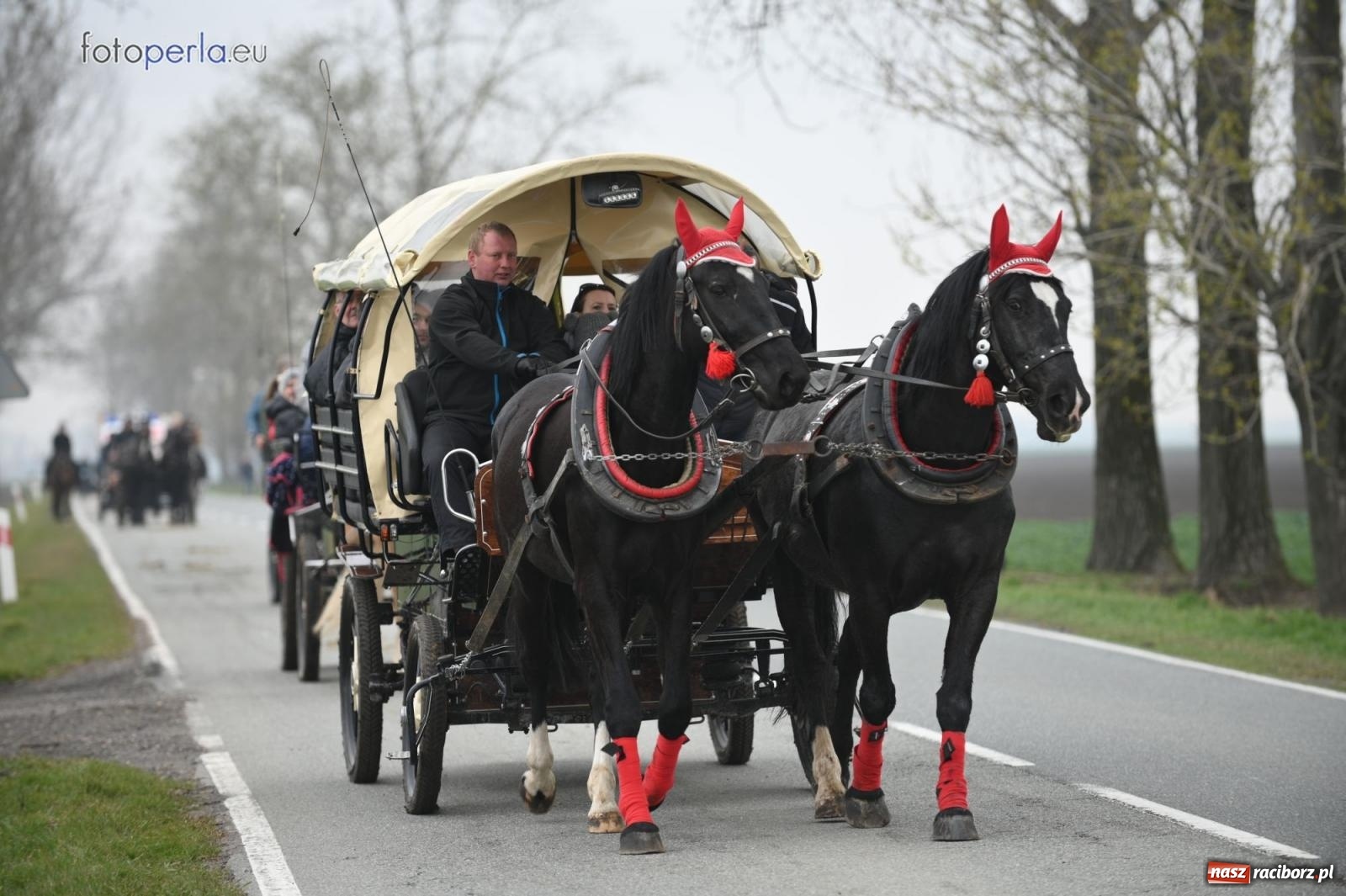 Zdjęcie w galerii na portalu naszraciborz.pl: Parada konna w Pietrowicach Wielkich [FOTO] wiadomości z regionu