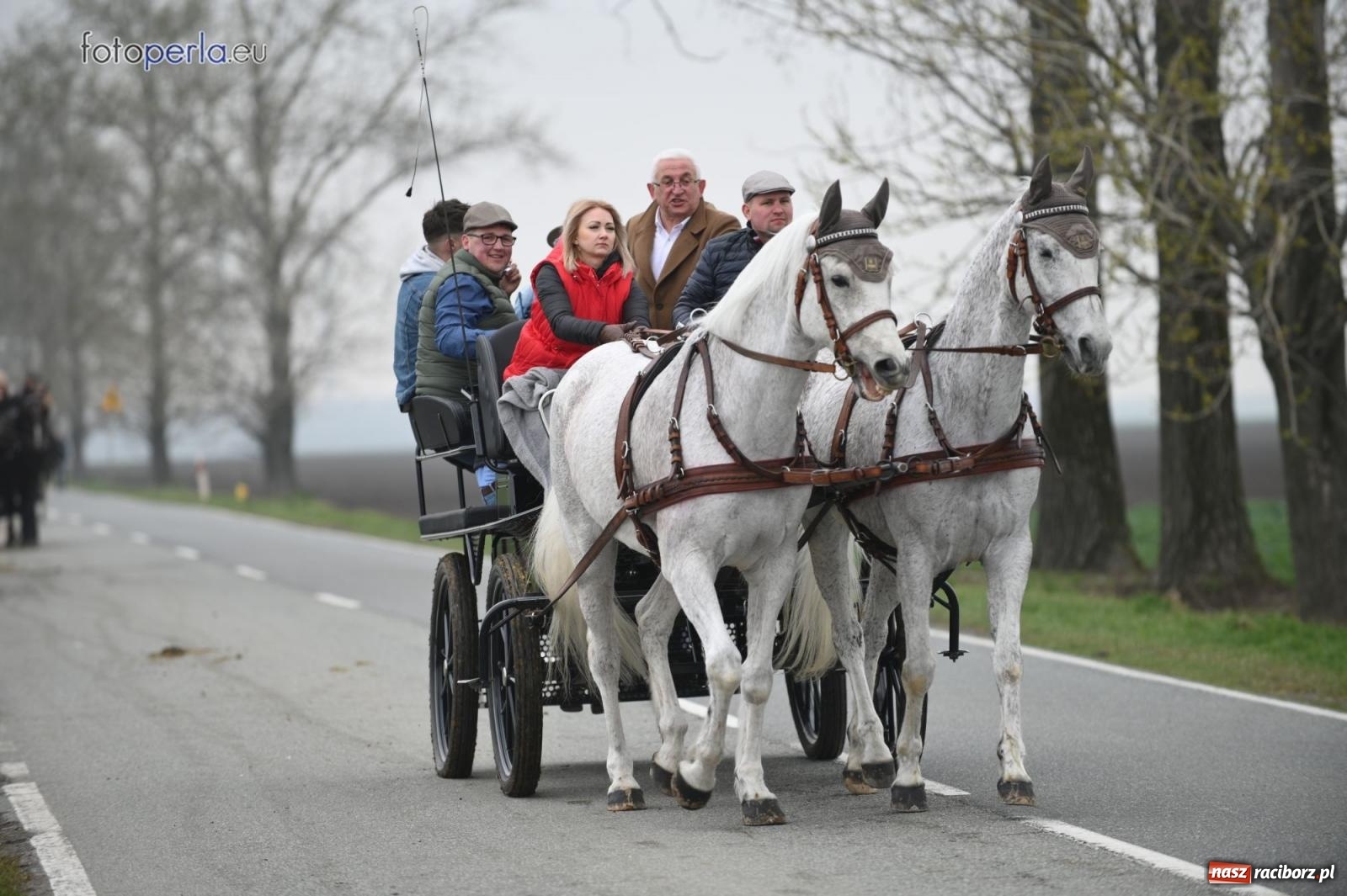 Zdjęcie w galerii na portalu naszraciborz.pl: Parada konna w Pietrowicach Wielkich [FOTO] wiadomości z regionu