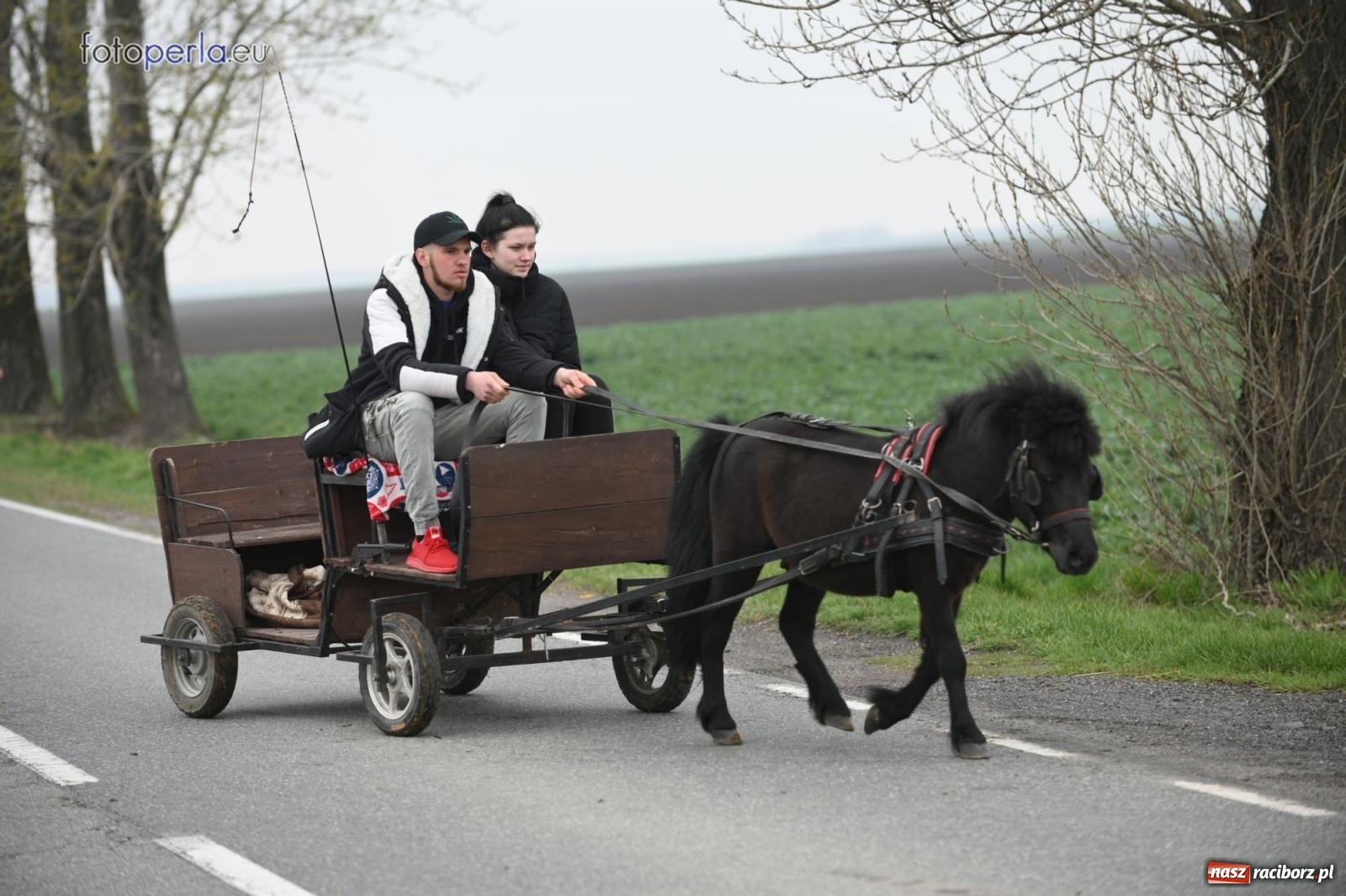 Zdjęcie w galerii na portalu naszraciborz.pl: Parada konna w Pietrowicach Wielkich [FOTO] wiadomości z regionu