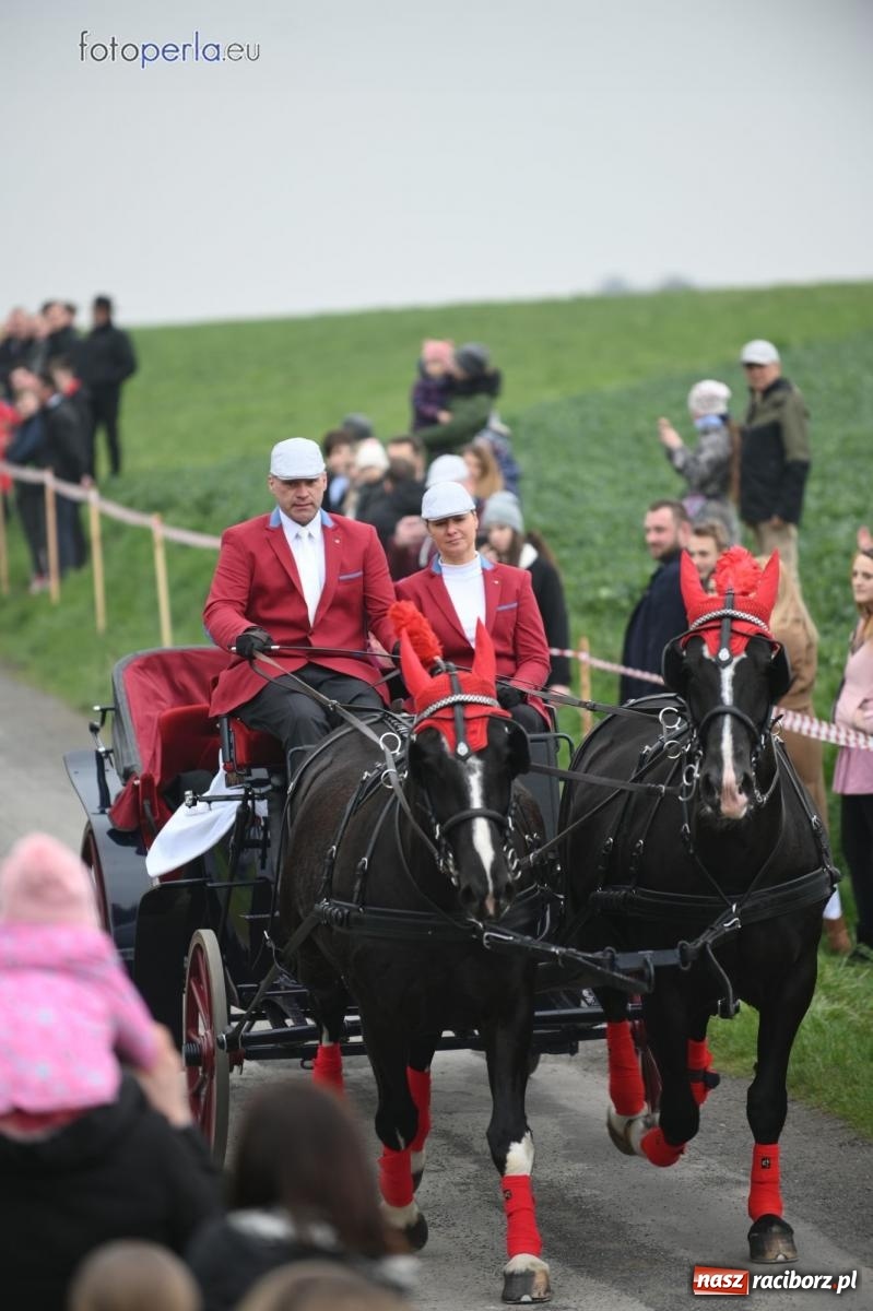 Zdjęcie w galerii na portalu naszraciborz.pl: Parada konna w Pietrowicach Wielkich [FOTO] wiadomości z regionu
