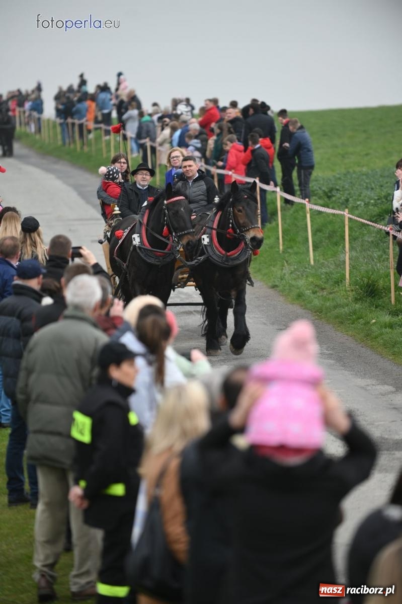 Zdjęcie w galerii na portalu naszraciborz.pl: Parada konna w Pietrowicach Wielkich [FOTO] wiadomości z regionu