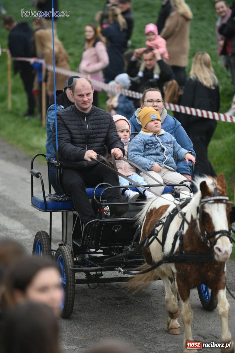 Zdjęcie w galerii na portalu naszraciborz.pl: Parada konna w Pietrowicach Wielkich [FOTO] wiadomości z regionu