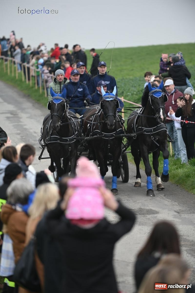 Zdjęcie w galerii na portalu naszraciborz.pl: Parada konna w Pietrowicach Wielkich [FOTO] wiadomości z regionu