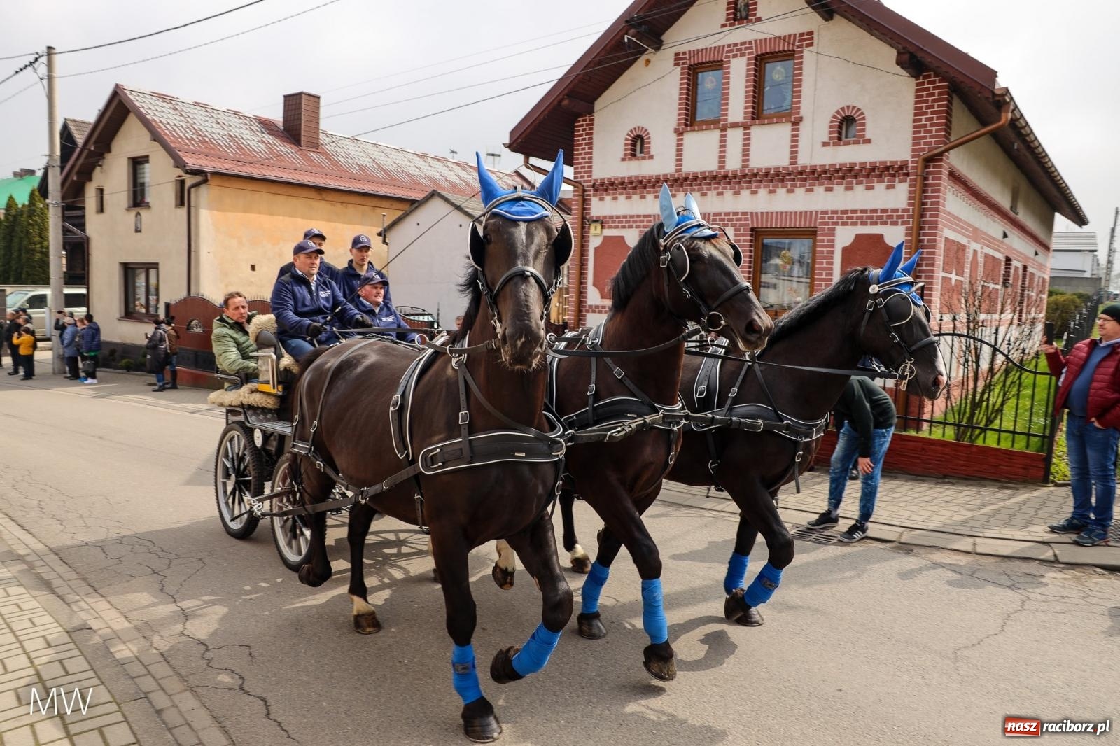 Zdjęcie w galerii na portalu naszraciborz.pl: Ludzie i obrzędy. Pietrowickie Osterreiten [FOTO] wiadomości z regionu