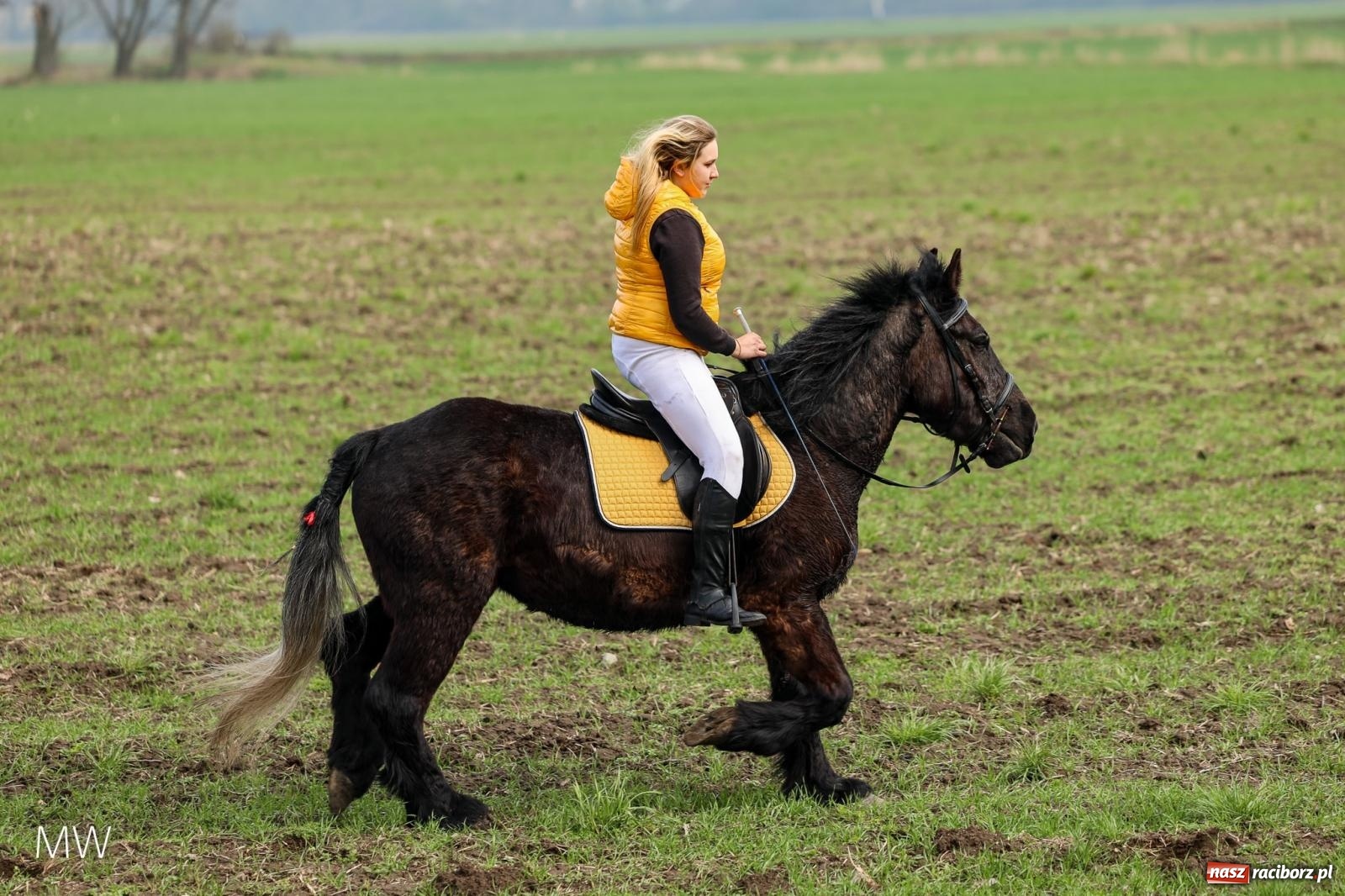 Zdjęcie w galerii na portalu naszraciborz.pl: Ludzie i obrzędy. Gonitwa wielkanocna w dorzeczu Psiny i Odry [FOTO] wiadomości z regionu