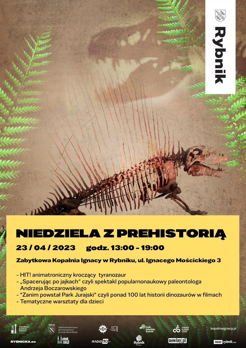 Zdjęcie w galerii na portalu naszraciborz.pl: Niedziela z prehistorią w Ignacym wiadomości z regionu