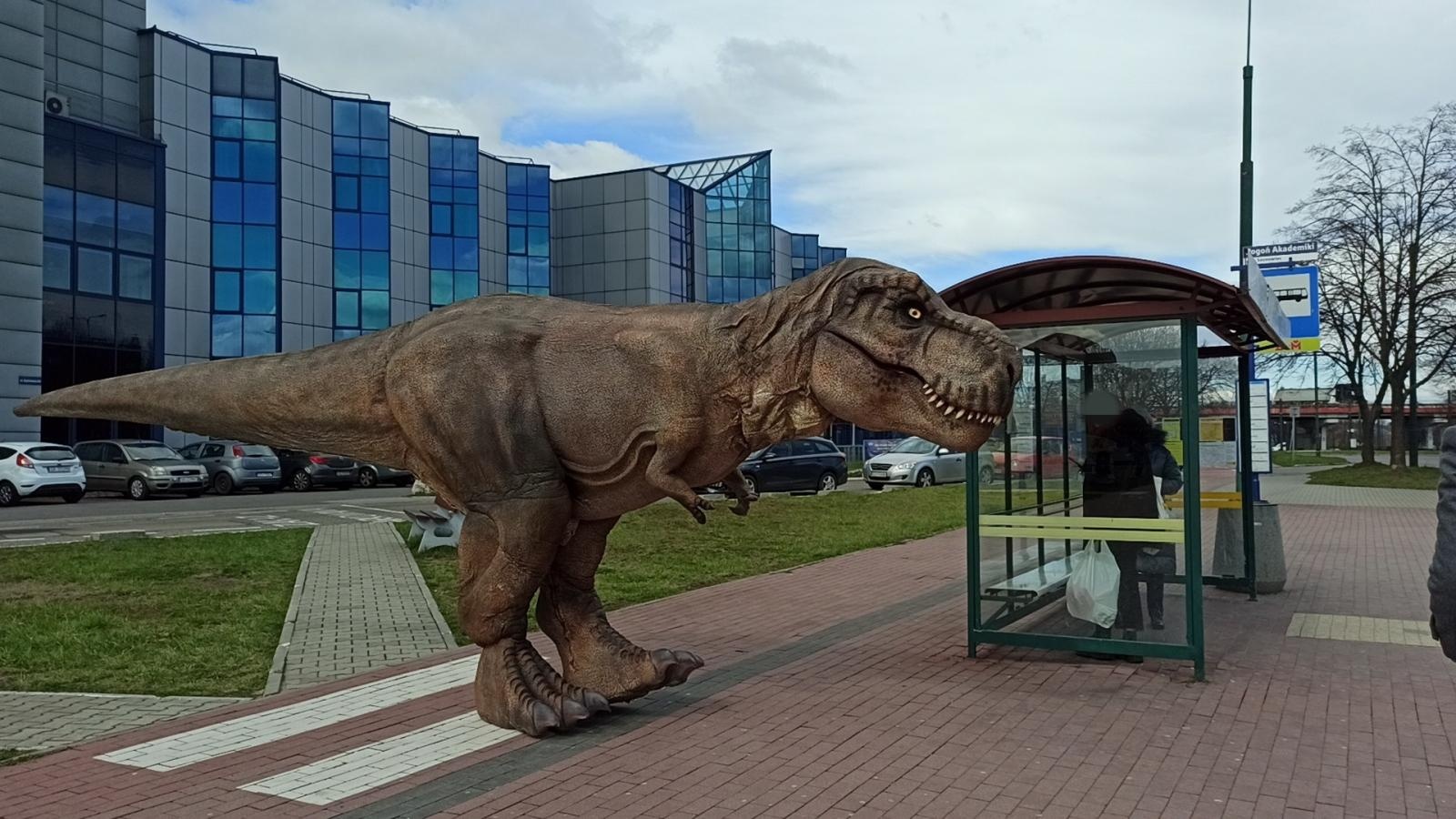 Zdjęcie w galerii na portalu naszraciborz.pl: Niedziela z prehistorią w Ignacym wiadomości z regionu