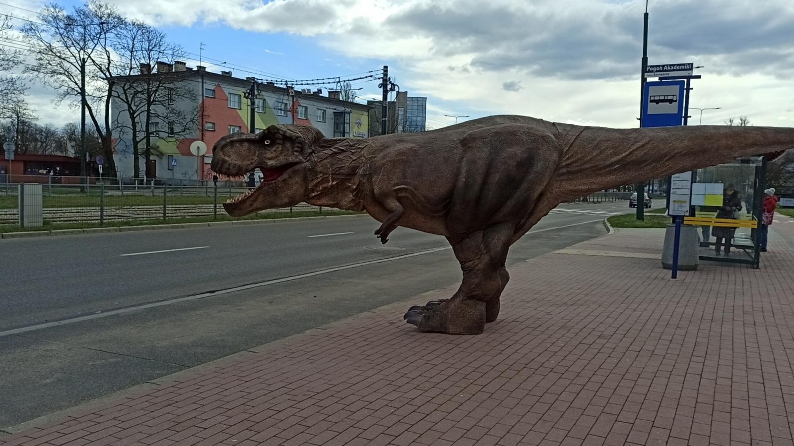 Zdjęcie w galerii na portalu naszraciborz.pl: Niedziela z prehistorią w Ignacym wiadomości z regionu