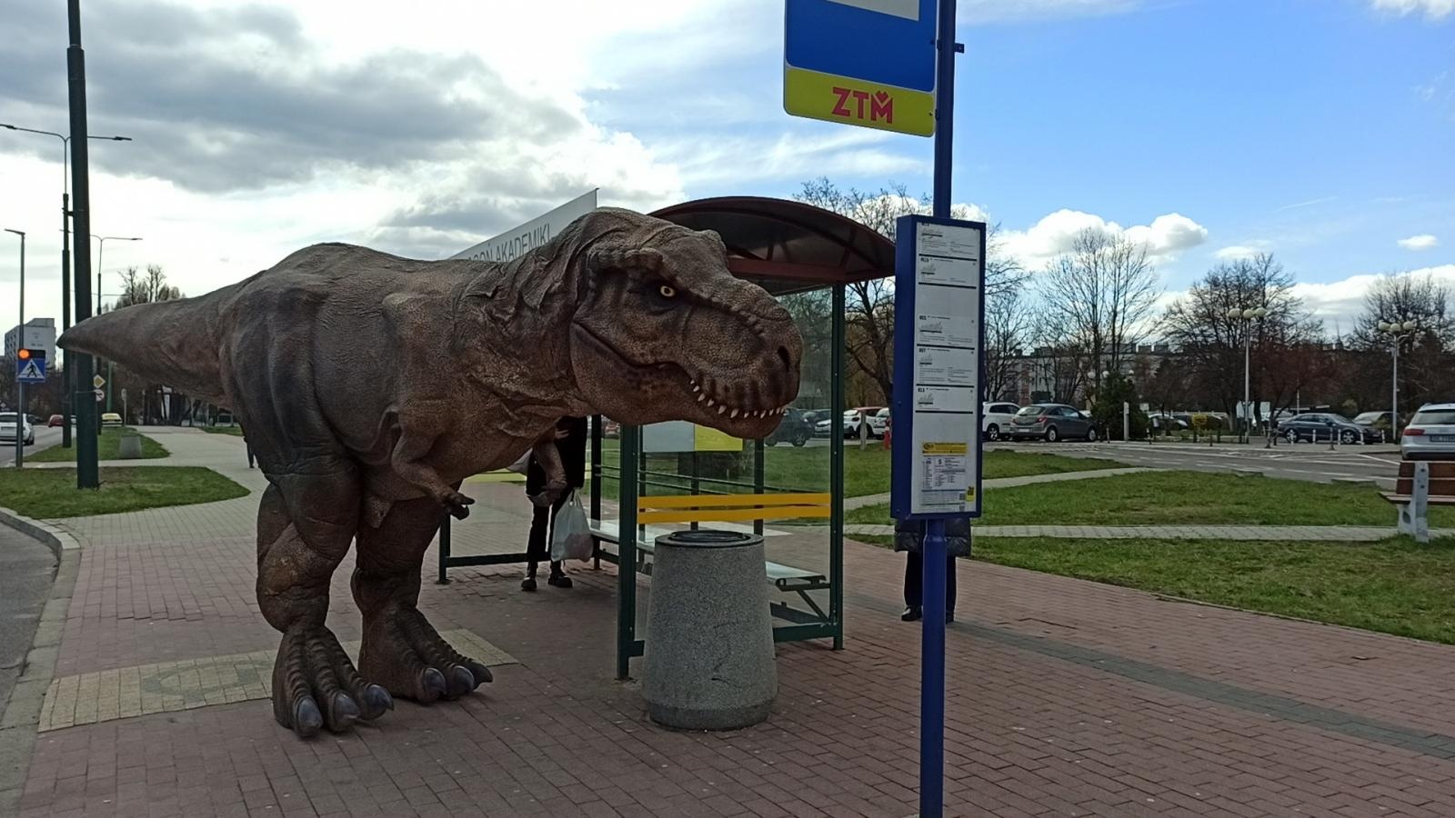 Zdjęcie w galerii na portalu naszraciborz.pl: Niedziela z prehistorią w Ignacym wiadomości z regionu