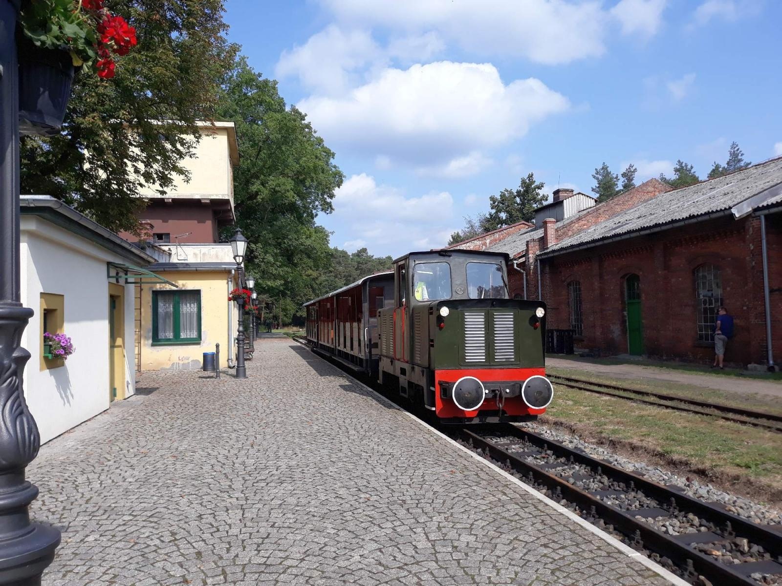 Zdjęcie w galerii na portalu naszraciborz.pl: Wystartowały zapisy na obóz CAMP KONIAKÓW oraz PÓŁKOLONIE PODRÓŻNICZE wiadomości z regionu