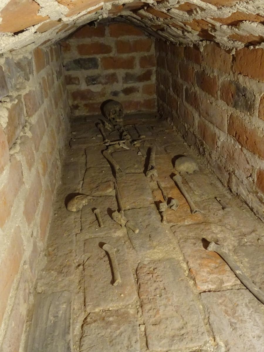 Zdjęcie w galerii na portalu naszraciborz.pl: Co w kościach zapisane? Muzeum zaprasza na prelekcję wiadomości z regionu