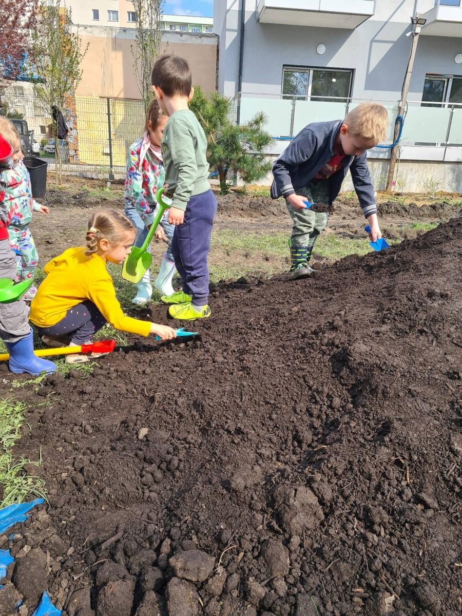 Zdjęcie w galerii na portalu naszraciborz.pl: Przedszkolny piknik familijny na Mysłowickiej wiadomości z regionu