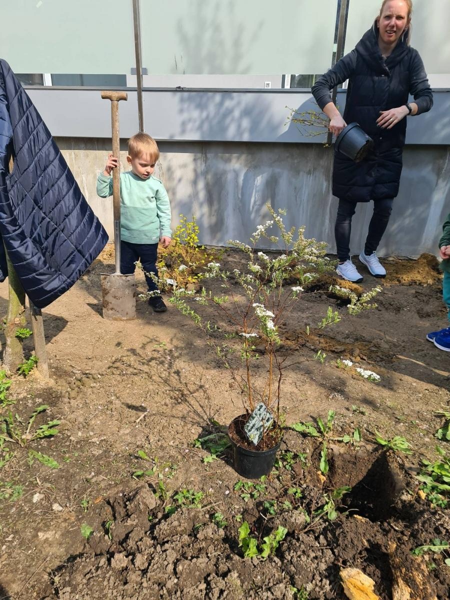 Zdjęcie w galerii na portalu naszraciborz.pl: Przedszkolny piknik familijny na Mysłowickiej wiadomości z regionu