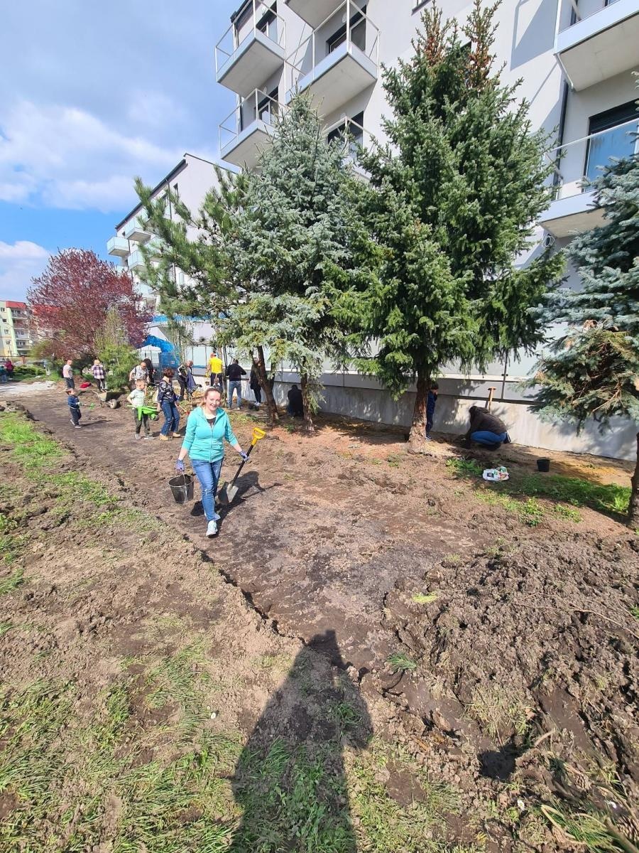 Zdjęcie w galerii na portalu naszraciborz.pl: Przedszkolny piknik familijny na Mysłowickiej wiadomości z regionu