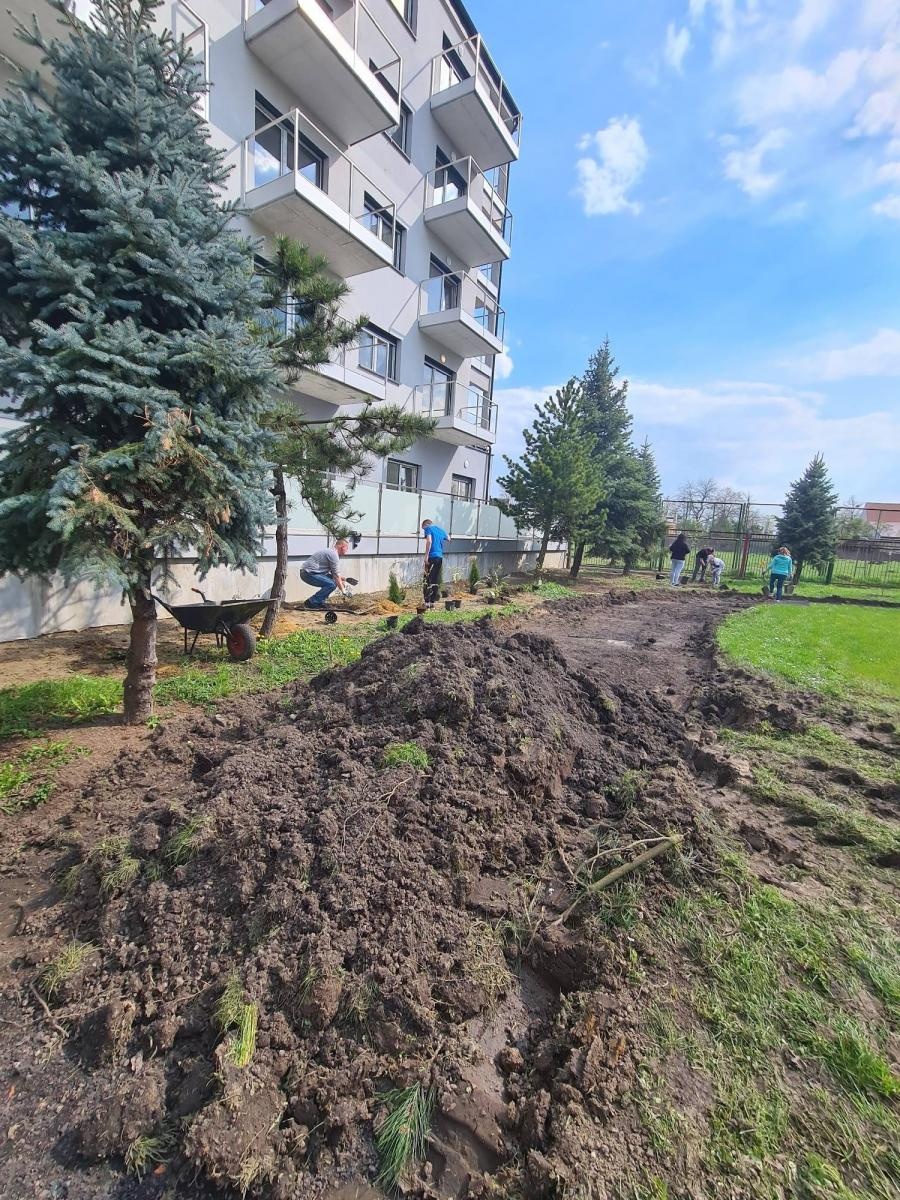 Zdjęcie w galerii na portalu naszraciborz.pl: Przedszkolny piknik familijny na Mysłowickiej wiadomości z regionu