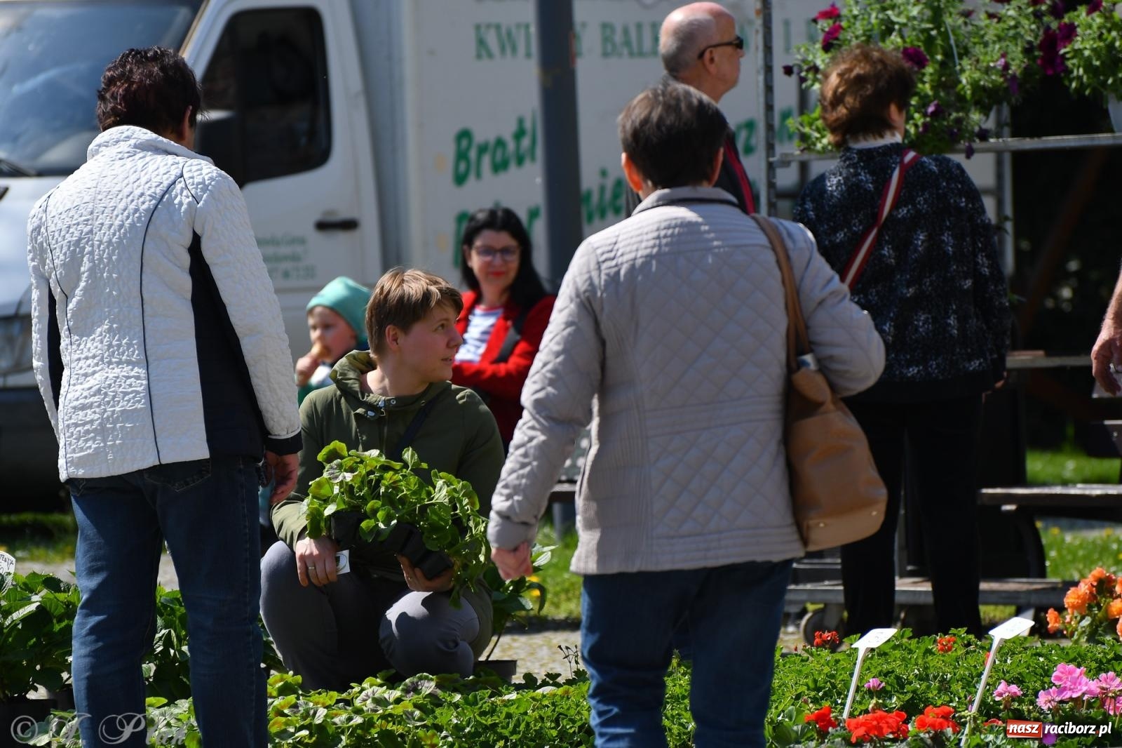 Zdjęcie w galerii na portalu naszraciborz.pl: Zamkowy dziedziniec tonie w kwiatach [FOTO i WIDEO] wiadomości z regionu