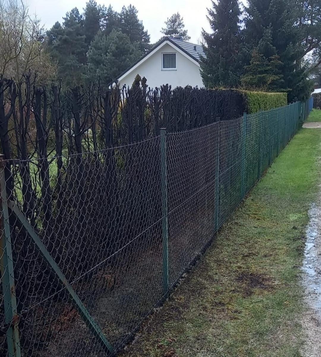 Zdjęcie w galerii na portalu naszraciborz.pl: Pożar żywopłotu w Górkach Śląskich wiadomości z regionu
