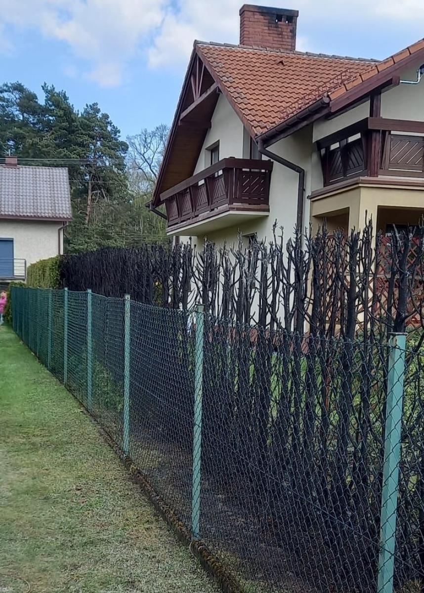 Zdjęcie w galerii na portalu naszraciborz.pl: Pożar żywopłotu w Górkach Śląskich wiadomości z regionu