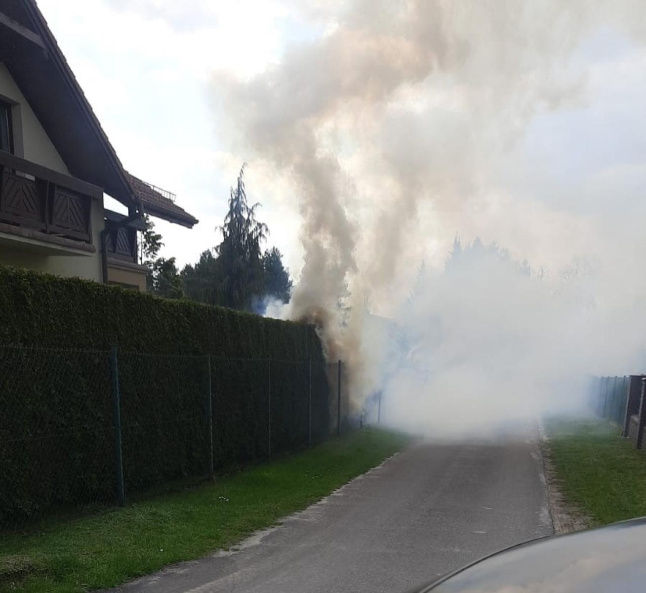 Zdjęcie w galerii na portalu naszraciborz.pl: Pożar żywopłotu w Górkach Śląskich wiadomości z regionu