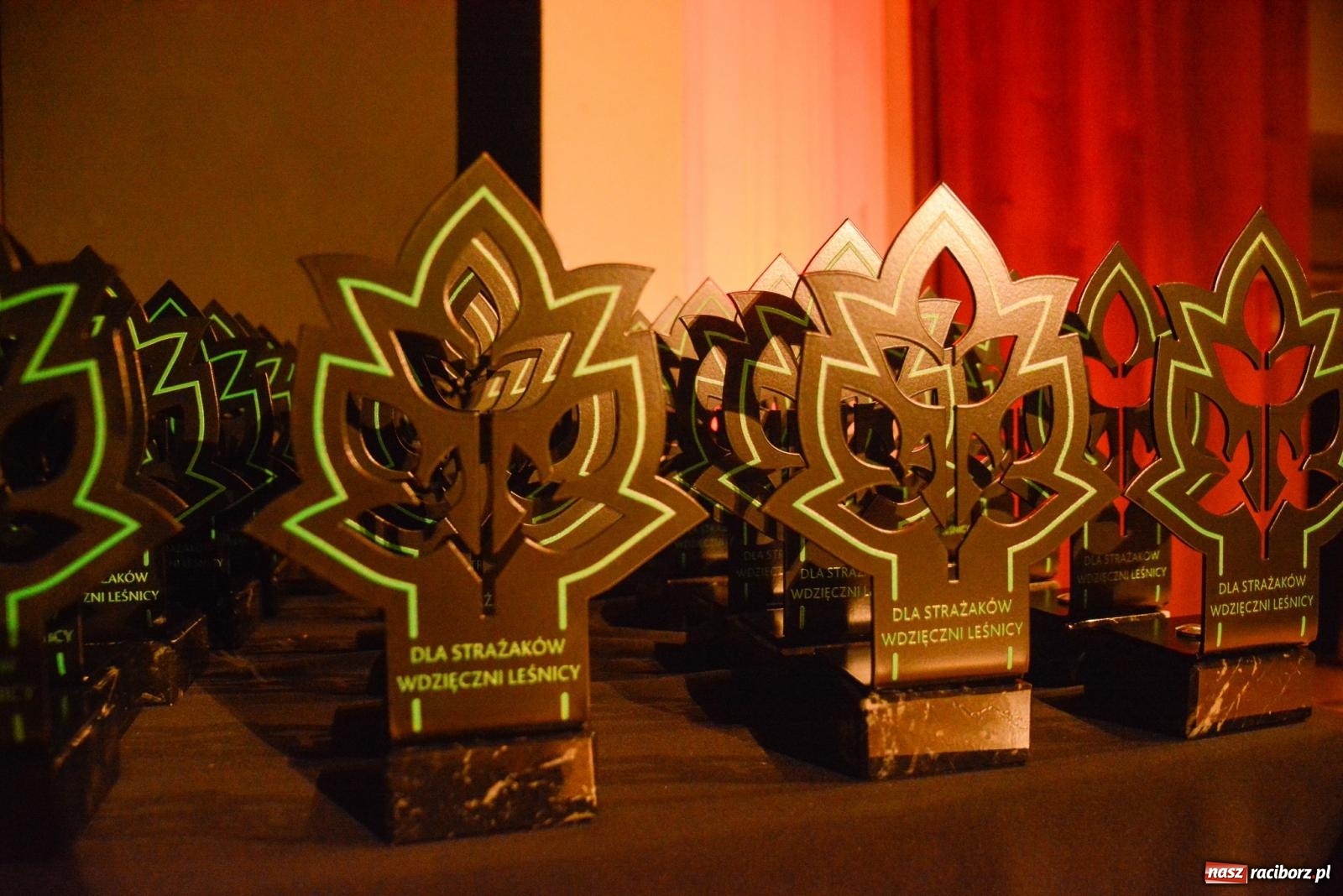 Zdjęcie w galerii na portalu naszraciborz.pl: Przed wspomnieniem św. Floriana leśnicy podziękowali strażakom [FOTO i WIDEO] wiadomości z regionu