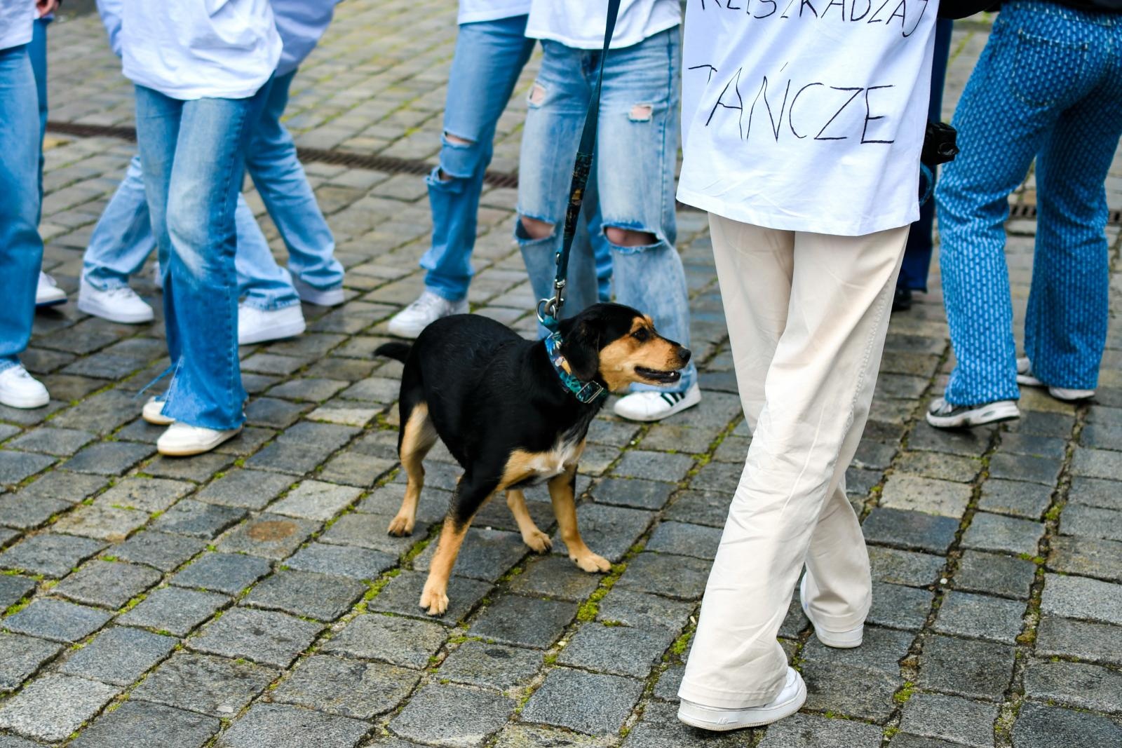 Zdjęcie w galerii na portalu naszraciborz.pl: Skaza uczciła na Rynku Międzynarodowy Dzień Tańca [FOTO i WIDEO] wiadomości z regionu