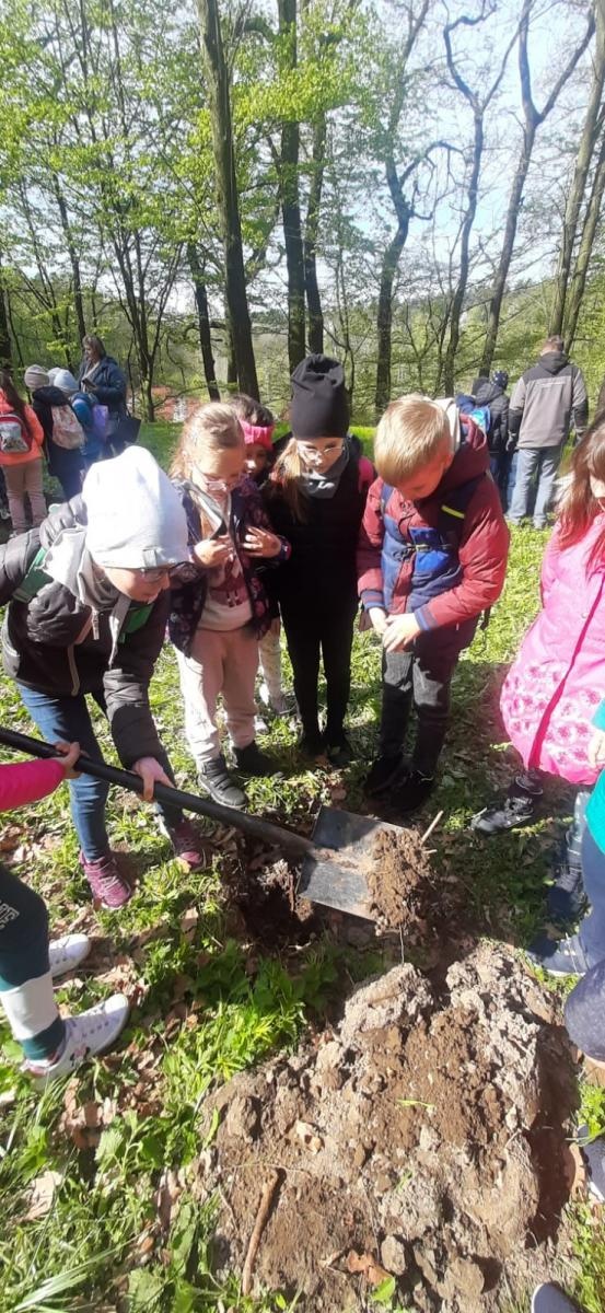Zdjęcie w galerii na portalu naszraciborz.pl: Tradycyjny Sad. Uczniowie z Brzezia w ogólnopolskim projekcie wiadomości z regionu