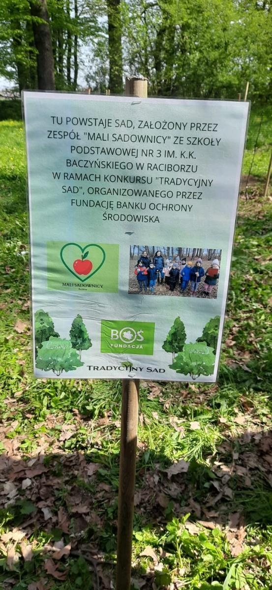 Zdjęcie w galerii na portalu naszraciborz.pl: Tradycyjny Sad. Uczniowie z Brzezia w ogólnopolskim projekcie wiadomości z regionu
