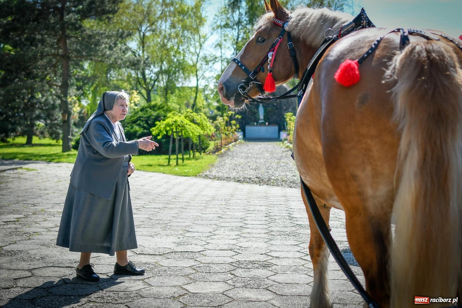 Zdjęcie w galerii na portalu naszraciborz.pl: Sołtys wymodlił słoneczną pogodę. Procesja na św. Floriana w Pogrzebieniu wiadomości z regionu