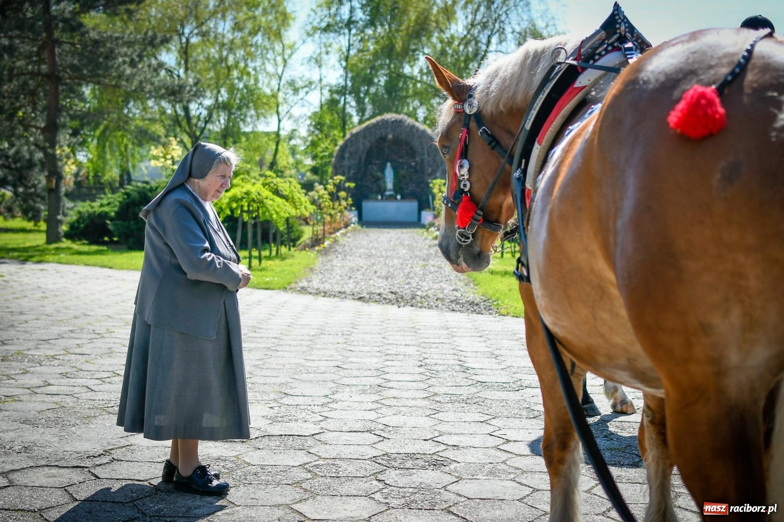 Zdjęcie w galerii na portalu naszraciborz.pl: Sołtys wymodlił słoneczną pogodę. Procesja na św. Floriana w Pogrzebieniu wiadomości z regionu