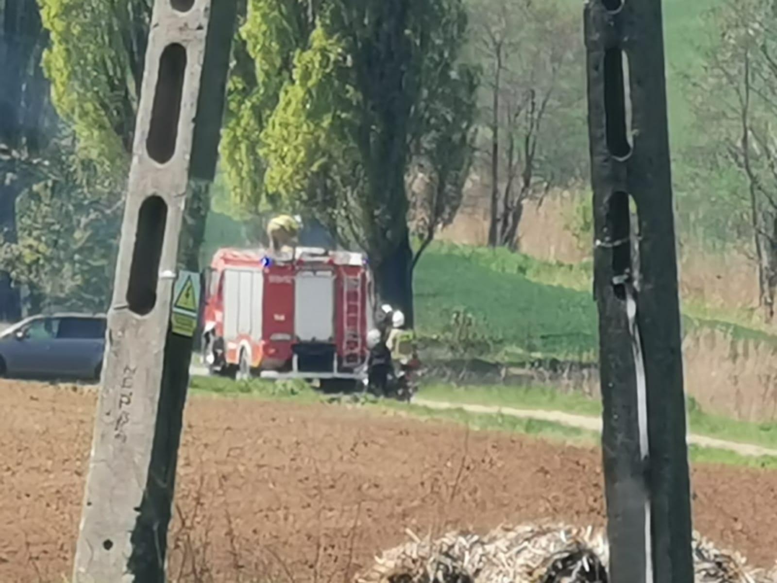 Zdjęcie w galerii na portalu naszraciborz.pl: Pożar trawy w Borucinie. Policja szuka podpalacza wiadomości z regionu