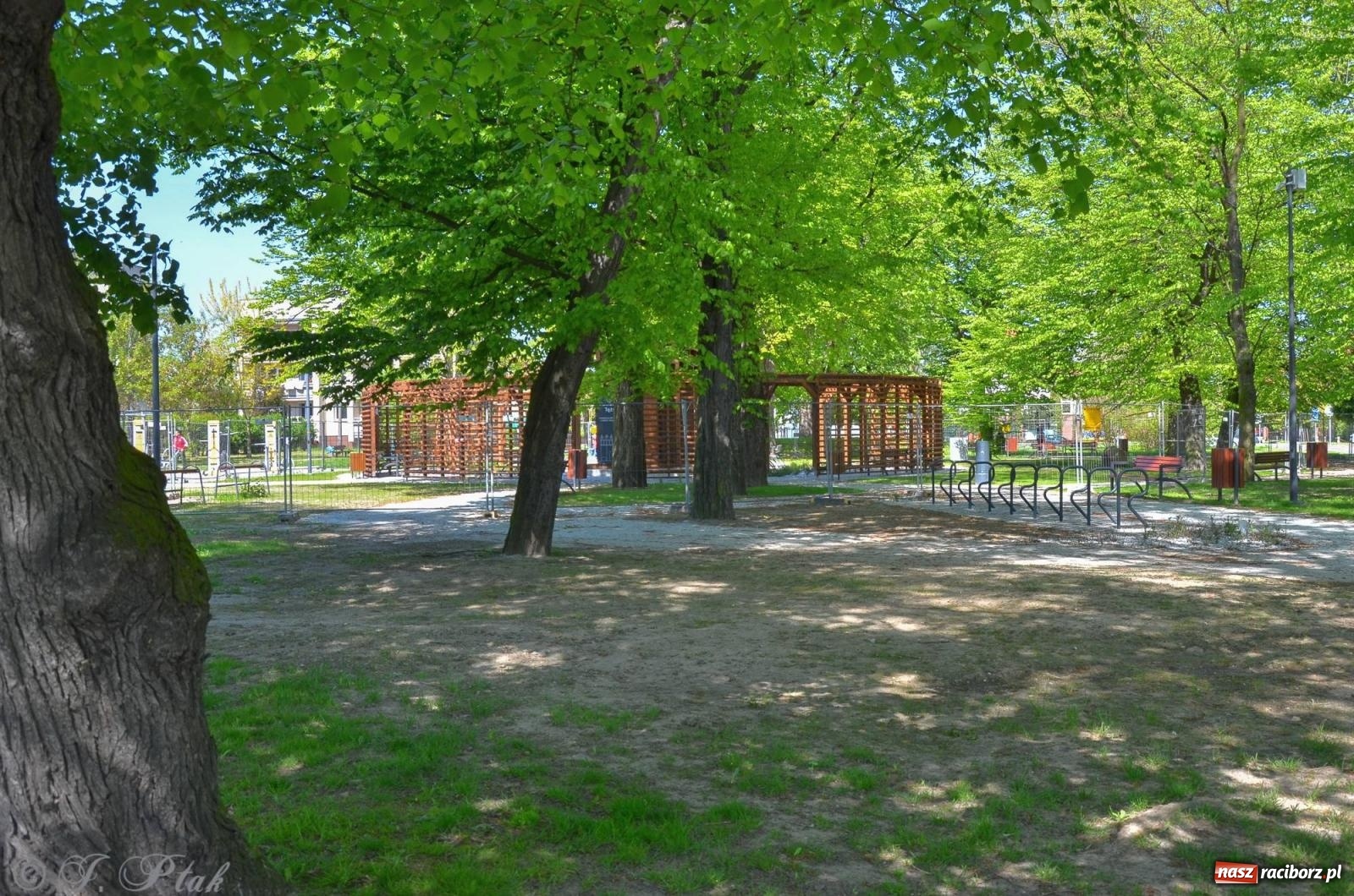 Zdjęcie w galerii na portalu naszraciborz.pl: Aerozol złudzeń. Tygodnik Polityka o oszustwie i wysypie tężni w Polsce wiadomości z regionu