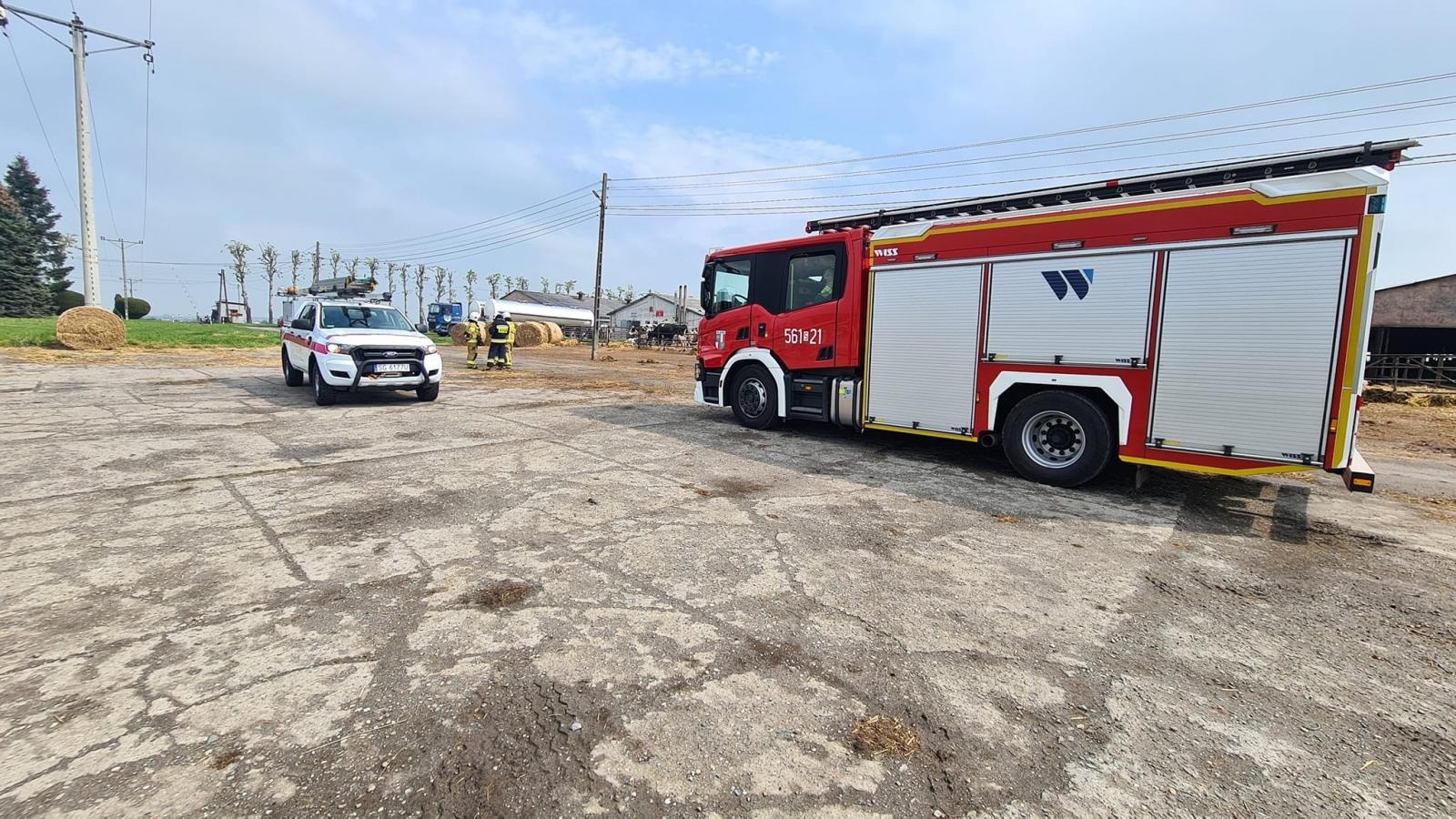 Zdjęcie w galerii na portalu naszraciborz.pl: Raport 998. Martwy bocian na linii energetycznej w Krzanowicach wiadomości z regionu