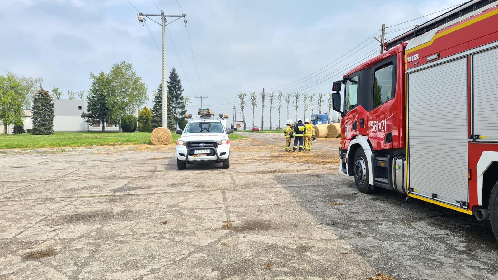 Zdjęcie w galerii na portalu naszraciborz.pl: Raport 998. Martwy bocian na linii energetycznej w Krzanowicach wiadomości z regionu