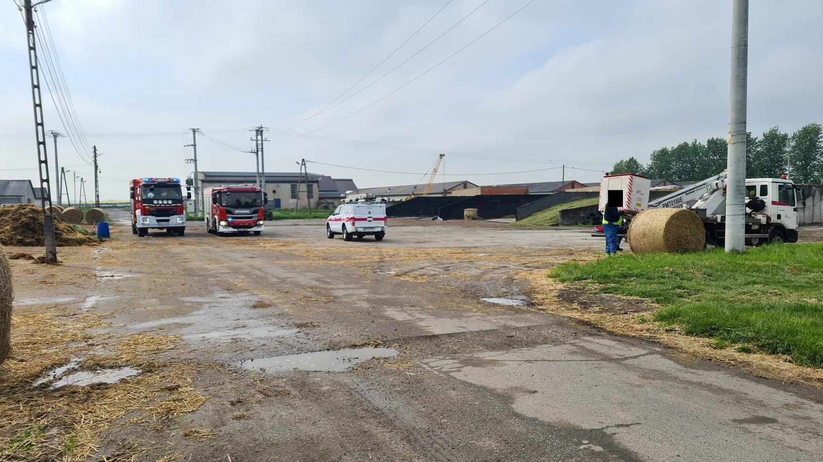 Zdjęcie w galerii na portalu naszraciborz.pl: Raport 998. Martwy bocian na linii energetycznej w Krzanowicach wiadomości z regionu