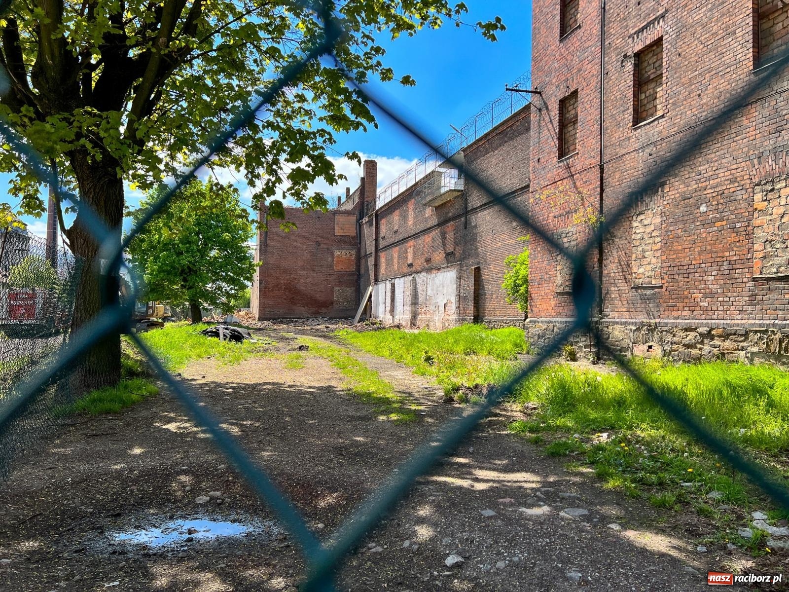 Zdjęcie w galerii na portalu naszraciborz.pl: Ruszyła rozbiórka starych budynków przy ZK. To część inwestycji wartej 30 mln zł wiadomości z regionu