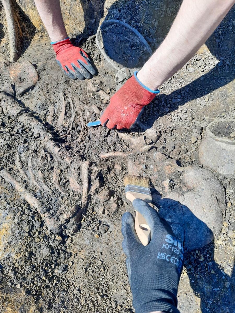 Zdjęcie w galerii na portalu naszraciborz.pl: Pradziejowy szkielet bez stóp i dłoni. Sensacyjne odkrycie archeologów w Raciborzu [FOTO] wiadomości z regionu