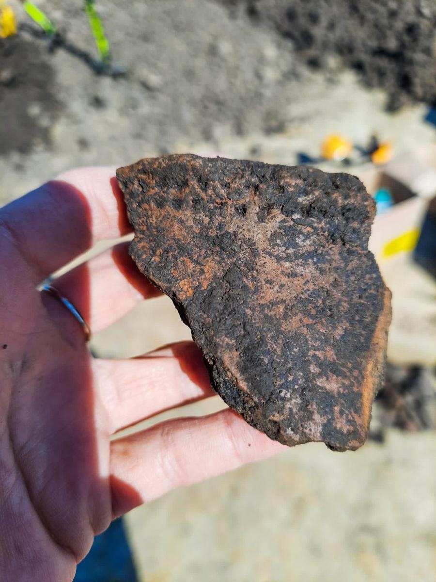 Zdjęcie w galerii na portalu naszraciborz.pl: Pradziejowy szkielet bez stóp i dłoni. Sensacyjne odkrycie archeologów w Raciborzu [FOTO] wiadomości z regionu