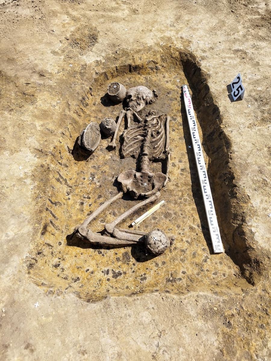 Zdjęcie w galerii na portalu naszraciborz.pl: Pradziejowy szkielet bez stóp i dłoni. Sensacyjne odkrycie archeologów w Raciborzu [FOTO] wiadomości z regionu