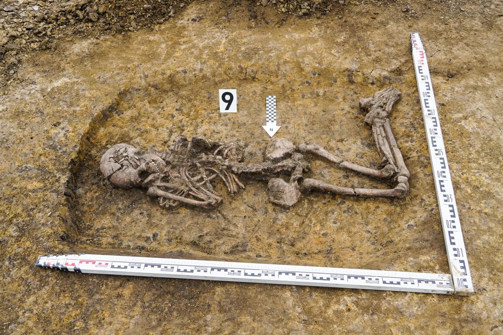 Zdjęcie w galerii na portalu naszraciborz.pl: Pradziejowy szkielet bez stóp i dłoni. Sensacyjne odkrycie archeologów w Raciborzu [FOTO] wiadomości z regionu