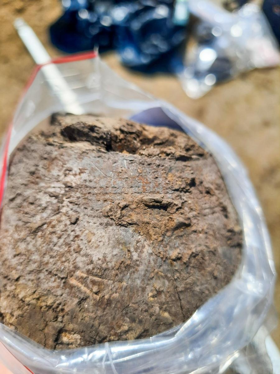 Zdjęcie w galerii na portalu naszraciborz.pl: Pradziejowy szkielet bez stóp i dłoni. Sensacyjne odkrycie archeologów w Raciborzu [FOTO] wiadomości z regionu