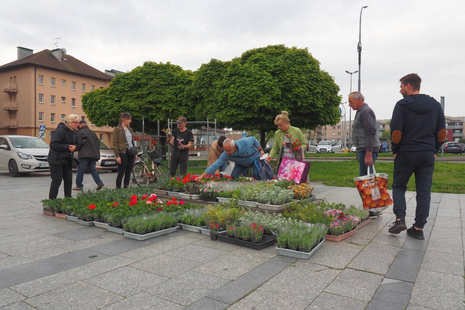 Zdjęcie w galerii na portalu naszraciborz.pl: Od rana ogromne kolejki w dwóch miejscach w Raciborzu wiadomości z regionu