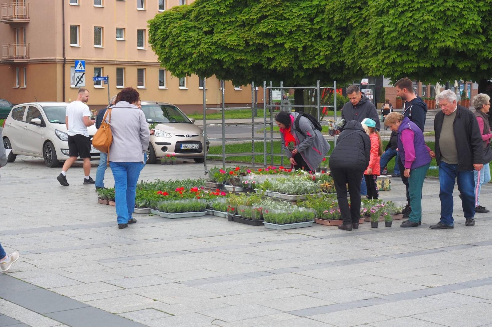Zdjęcie w galerii na portalu naszraciborz.pl: Od rana ogromne kolejki w dwóch miejscach w Raciborzu wiadomości z regionu