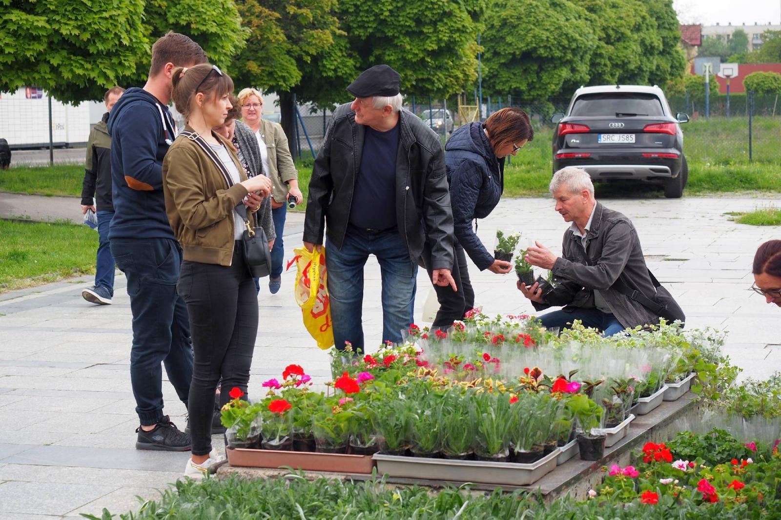 Zdjęcie w galerii na portalu naszraciborz.pl: Od rana ogromne kolejki w dwóch miejscach w Raciborzu wiadomości z regionu