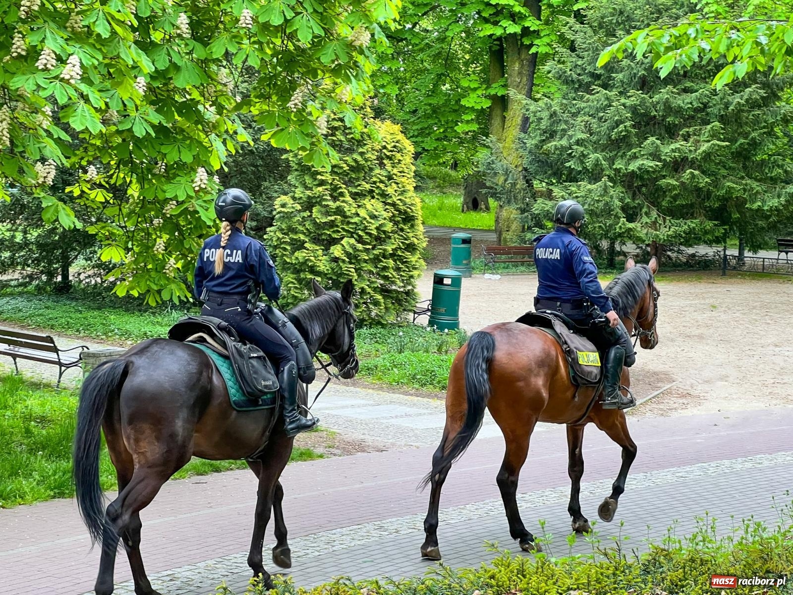 Zdjęcie w galerii na portalu naszraciborz.pl: Siły policyjne obstawiły raciborski stadion przy Zamkowej [FOTO] wiadomości z regionu