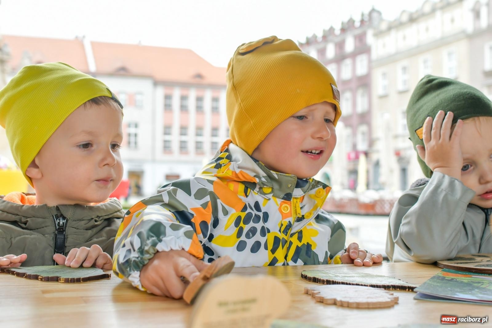 Zdjęcie w galerii na portalu naszraciborz.pl: Leśnicy zorganizowali w Raciborzu dzień z żubrem [FOTO i WIDEO] wiadomości z regionu