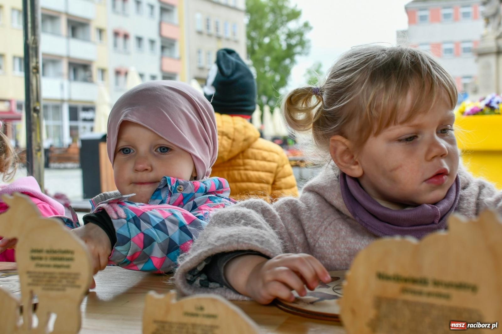 Zdjęcie w galerii na portalu naszraciborz.pl: Leśnicy zorganizowali w Raciborzu dzień z żubrem [FOTO i WIDEO] wiadomości z regionu